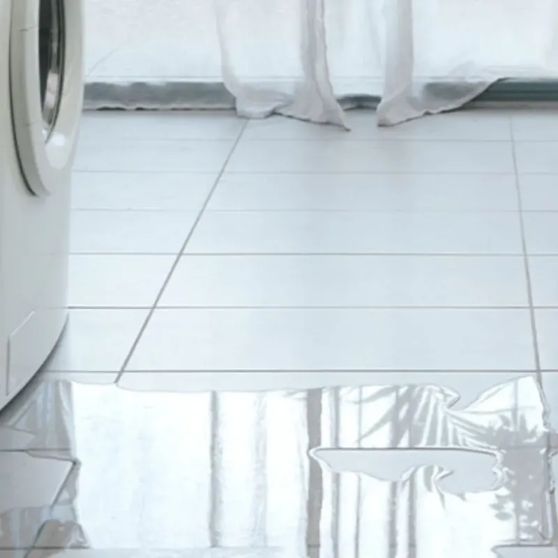Appliance Leak Cleanup in Dallas, OR